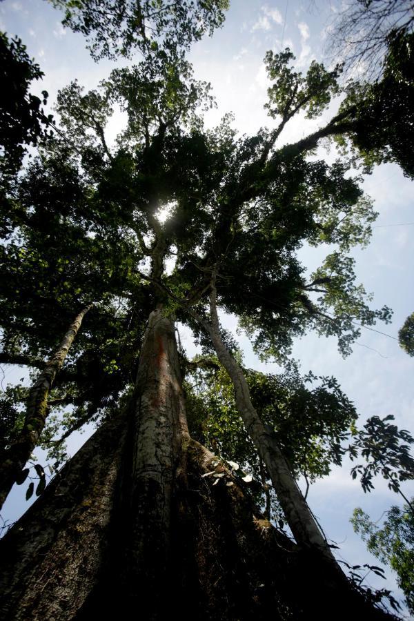 Misahualli Amazon Lodge 외부 사진