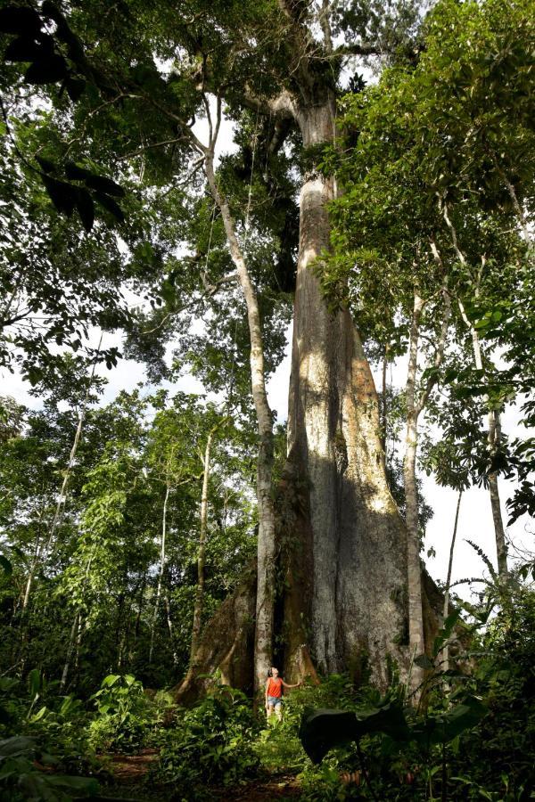 Misahualli Amazon Lodge 외부 사진