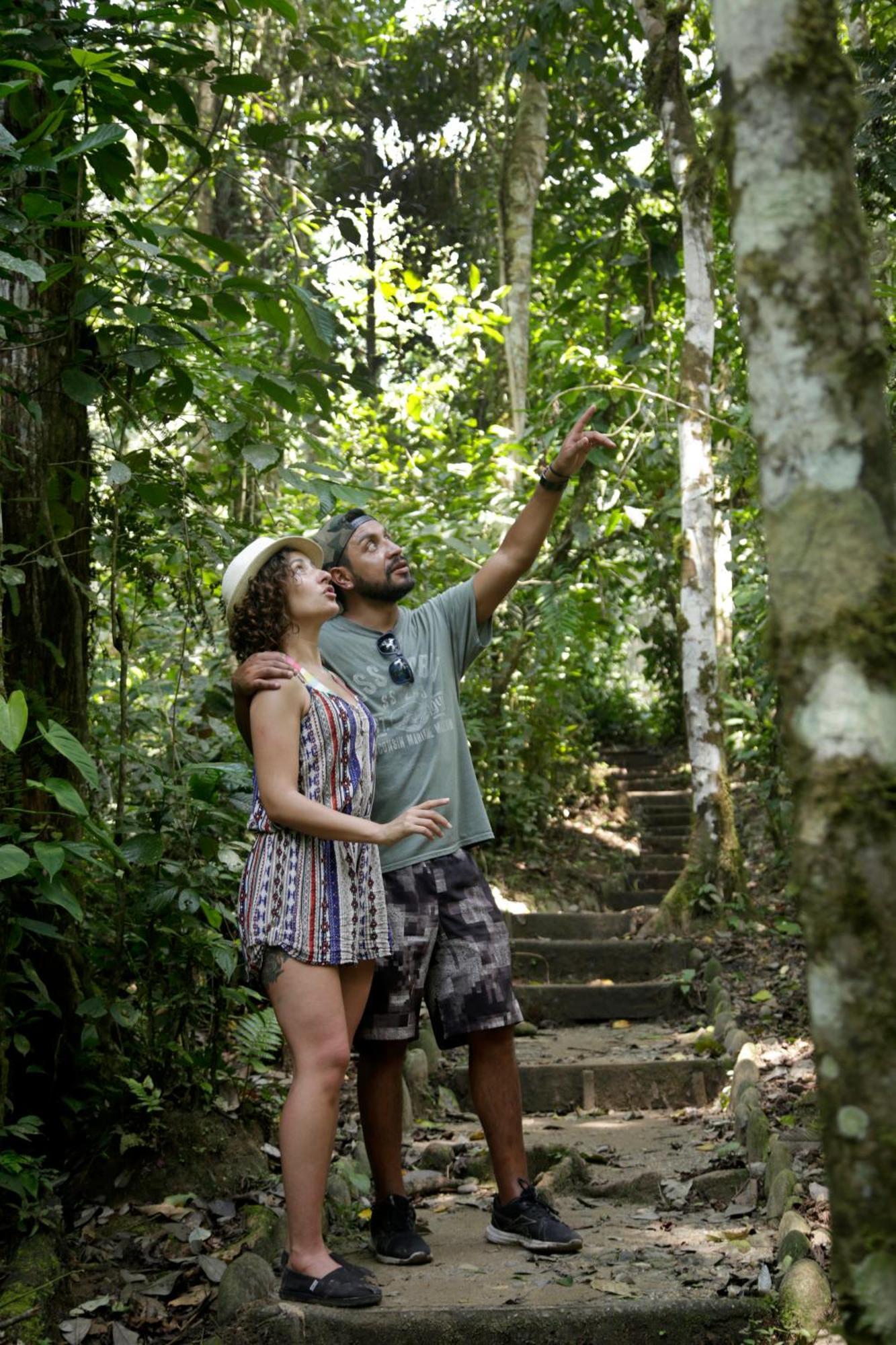 Misahualli Amazon Lodge 외부 사진