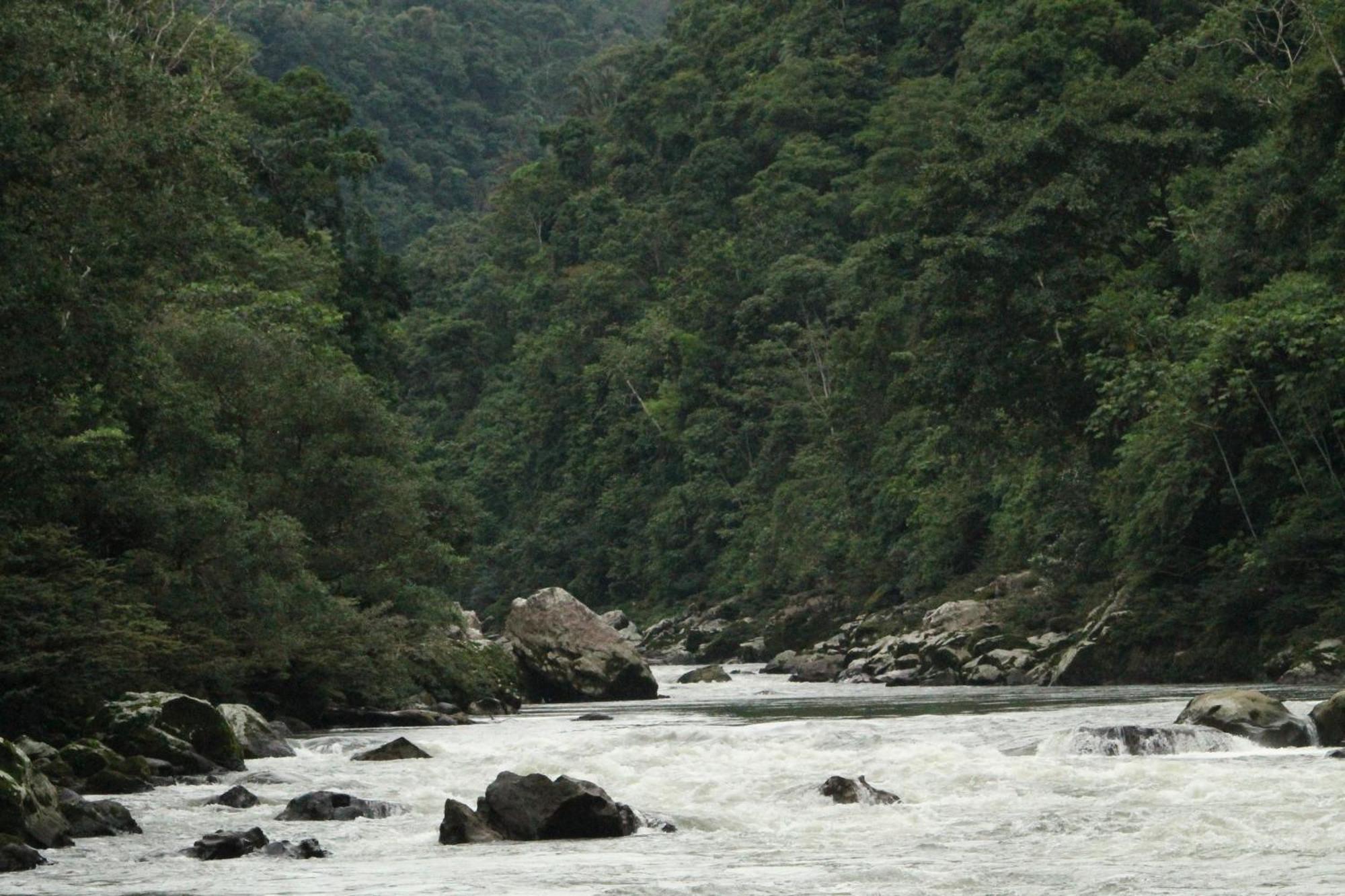 Misahualli Amazon Lodge 외부 사진